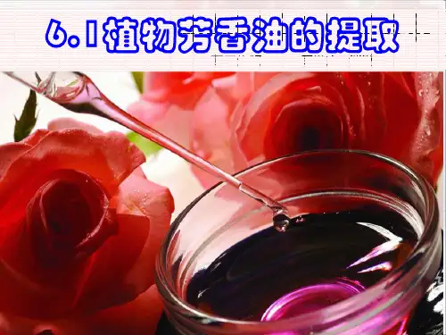 人教版高中生物选修一课件：6.1植物芳香油的提取 (共29张PPT)