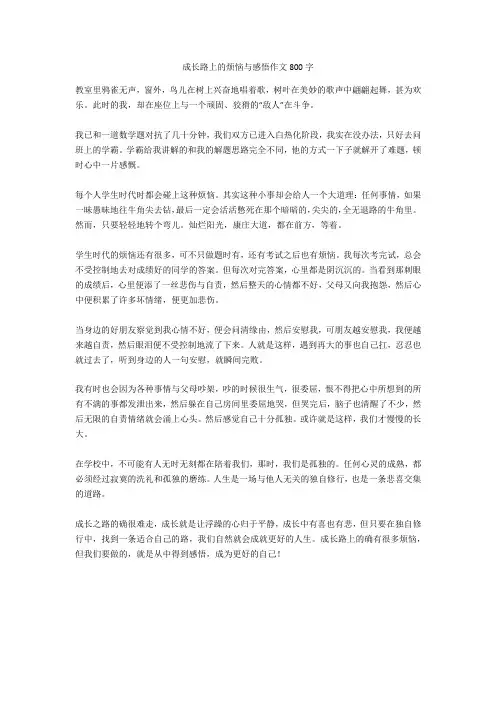 成长路上的烦恼与感悟作文800字