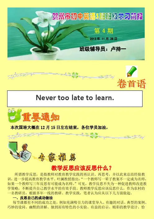 国培简报4