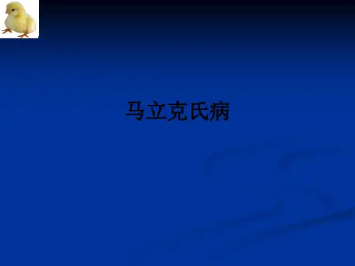 马立克氏病ppt课件