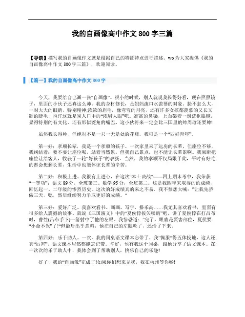 我的自画像高中作文800字三篇