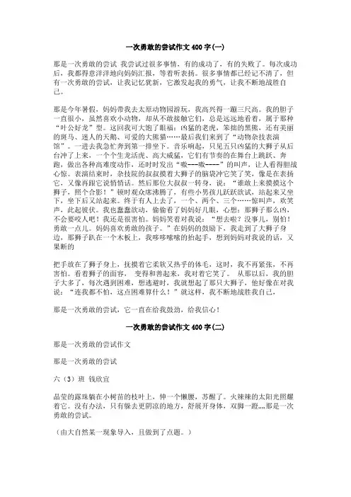 一次勇敢的尝试作文400字