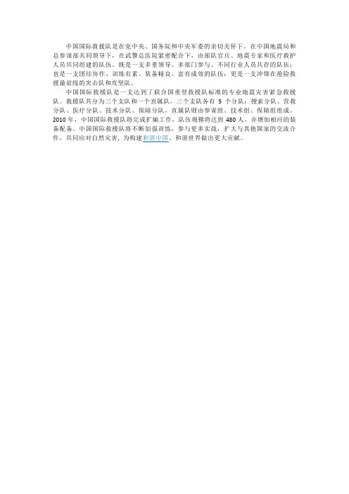 中国国际救援队资料1