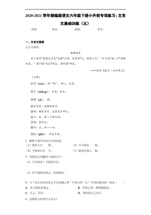 2020-2021学年部编版语文六年级下册小升初专项练习：文言文基础训练(五)