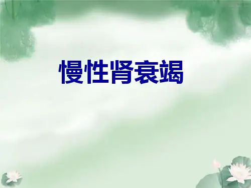 慢性肾衰PPT课件