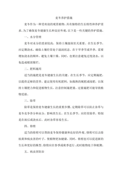 麦冬养护措施