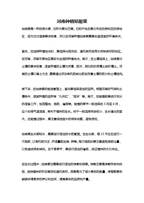 河南种植姑娘果