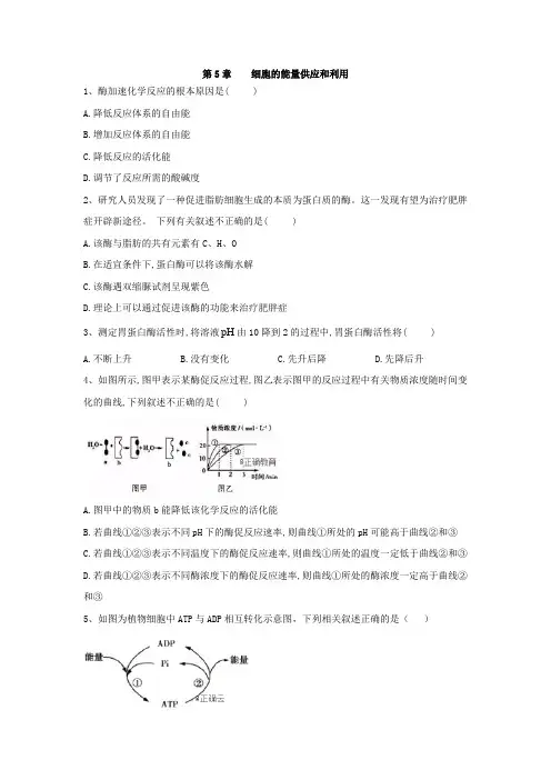 2019-2020学年高中生物人教版必修一单元测试卷：第5章 细胞的能量供应和利用 Word版含答案