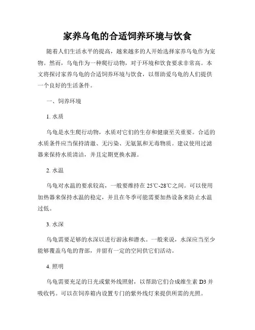 家养乌龟的合适饲养环境与饮食