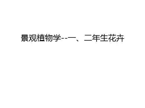 景观植物学--一、二年生花卉教学提纲