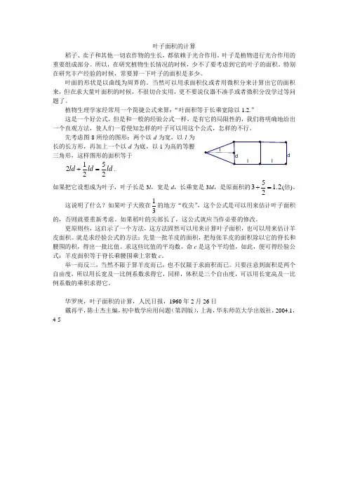 叶子面积计算