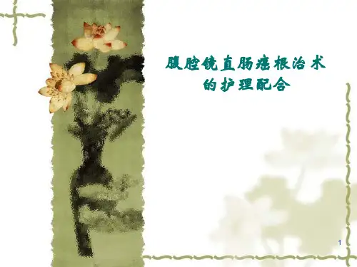 腹腔镜直肠癌根治术手术配合精品PPT课件
