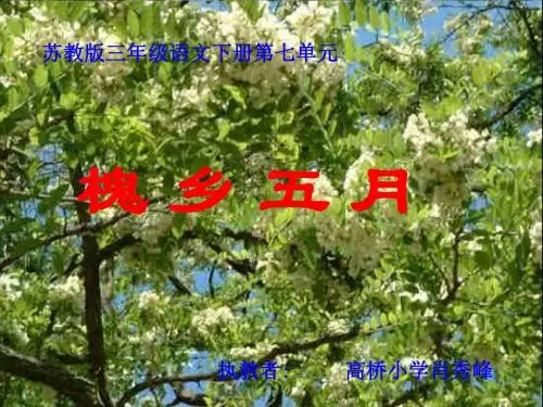苏教版三年级语文下册《槐乡五月_2》PPT课件