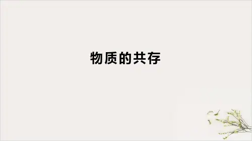 中考化学专题突破课件物质的共存PPT完美课件