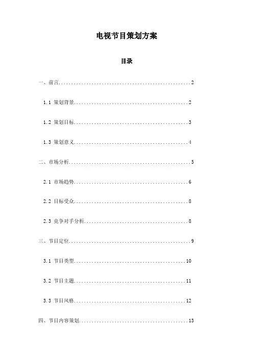 电视节目策划方案 2