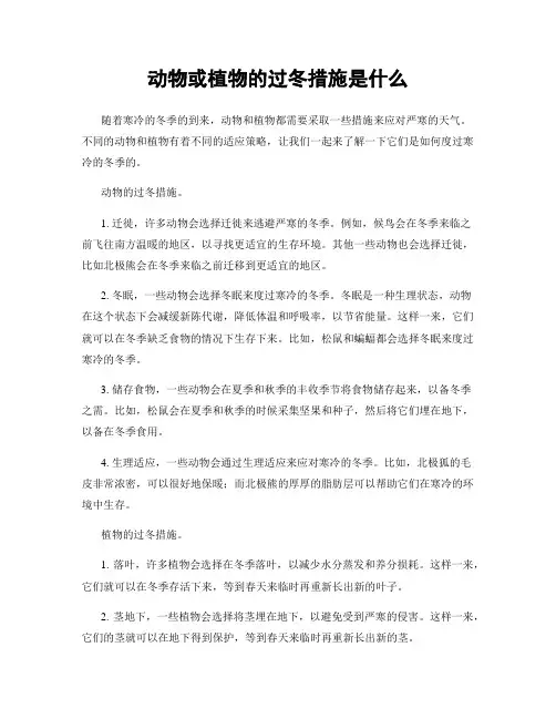 动物或植物的过冬措施是什么