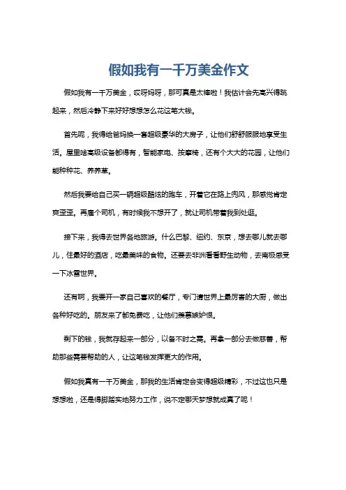 假如我有一千万美金作文