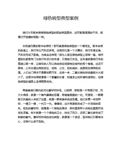 绿色转型典型案例