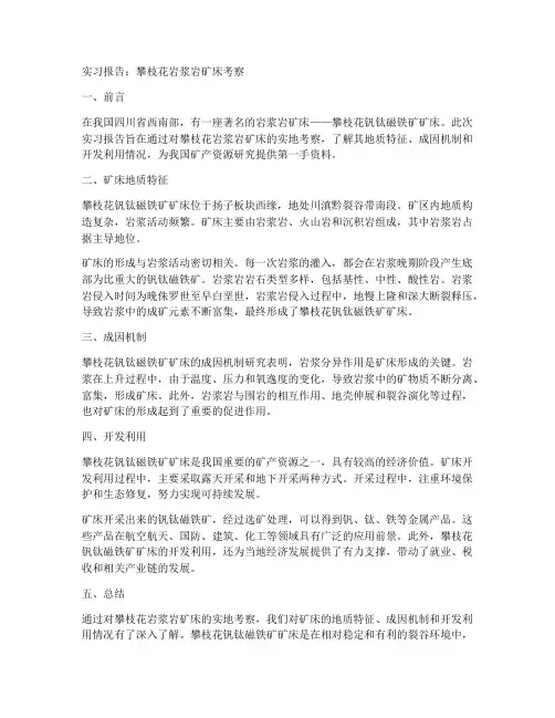 攀枝花岩浆岩实习报告