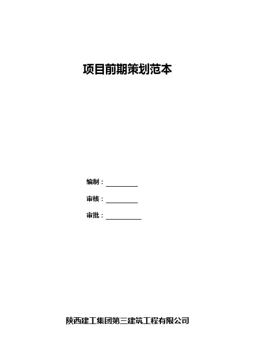 项目前期策划范本
