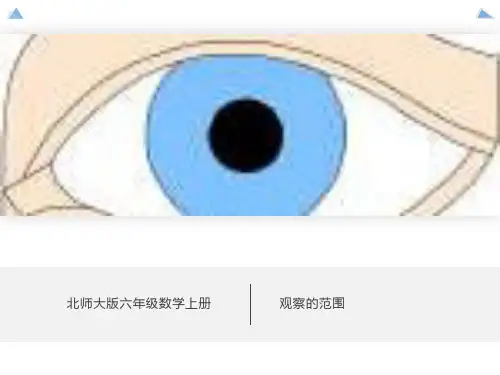 《观察的范围》课件北师大版数学六年级上册PPT课件