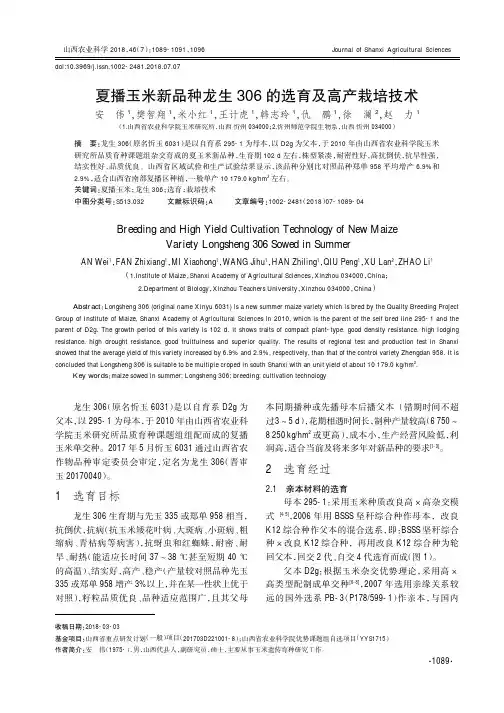 夏播玉米新品种龙生306的选育及高产栽培技术