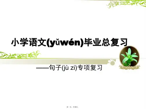 最新小学语文毕业总复习—句子专项复习精品课件