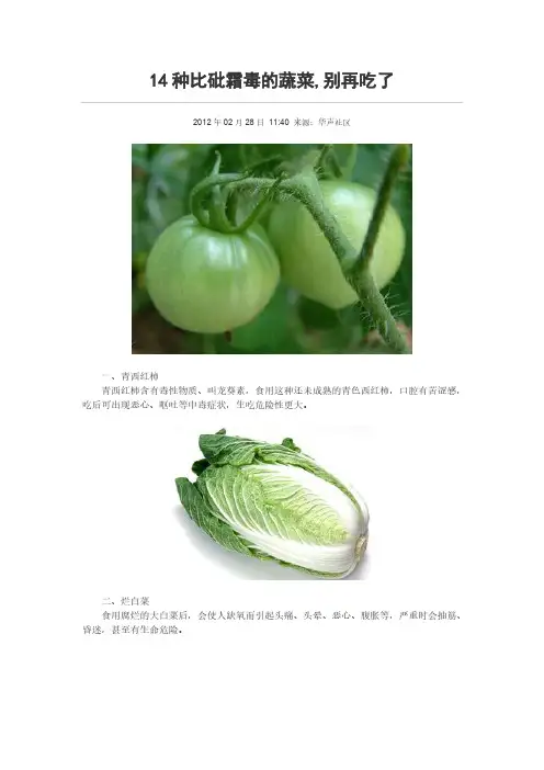 14种比砒霜毒的蔬菜