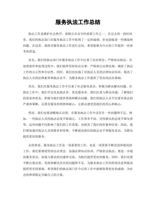 服务执法工作总结