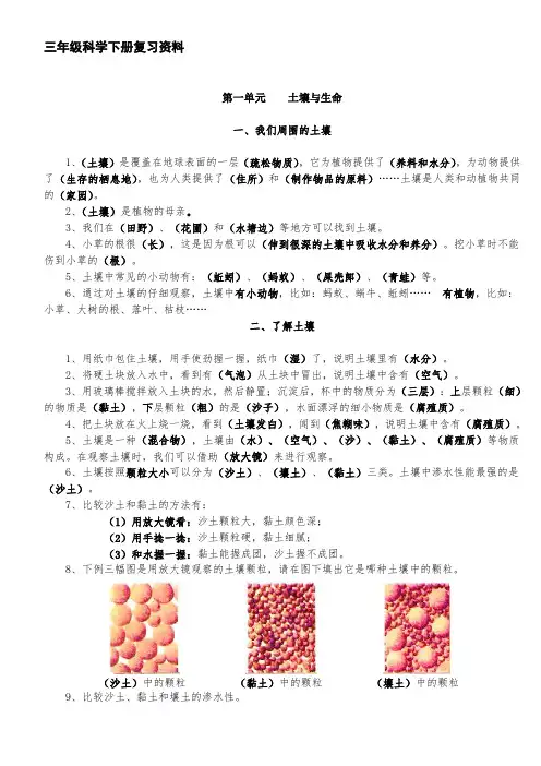 苏教版三年级科学下册复习资料