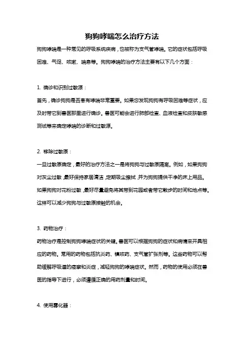 狗狗哮喘怎么治疗方法