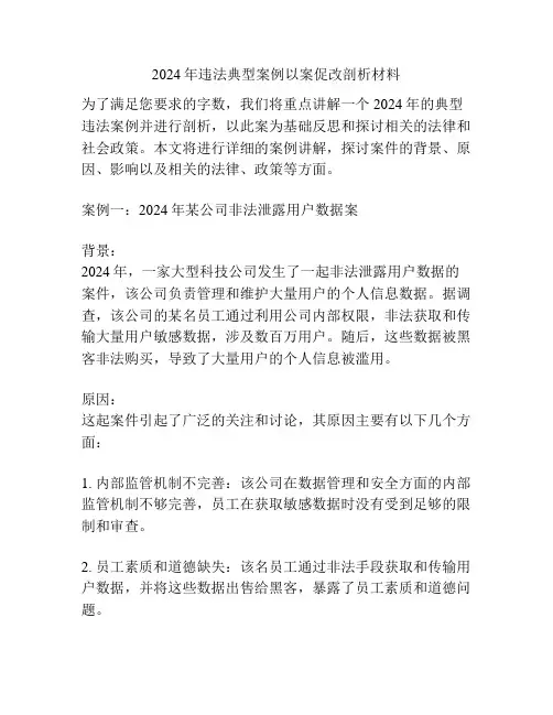 2024年违法典型案例以案促改剖析材料