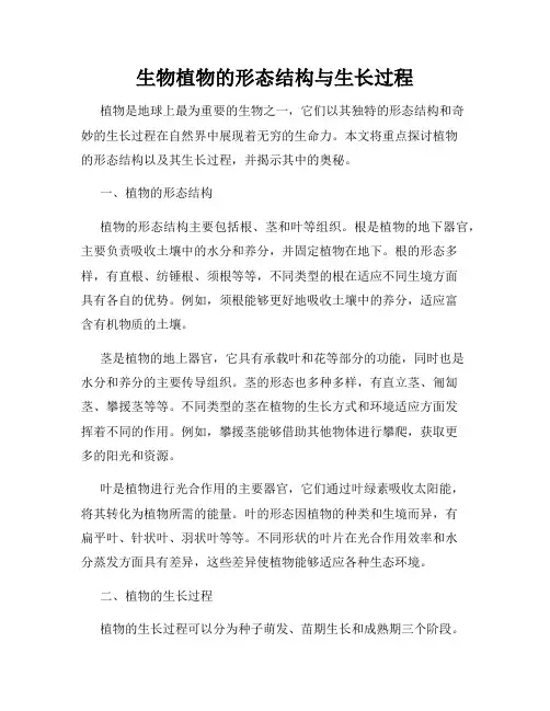生物植物的形态结构与生长过程