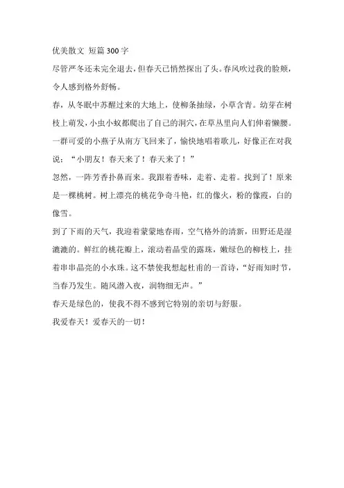 优美散文 短篇300字
