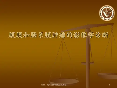腹膜、肠系膜解剖及常见肿瘤PPT课件