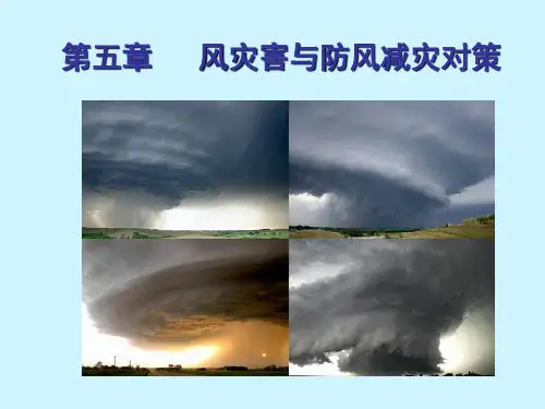 防灾减灾工程学 第五章 风灾害