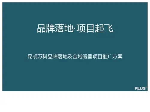 万科金域缇香策略提报营销推广策划