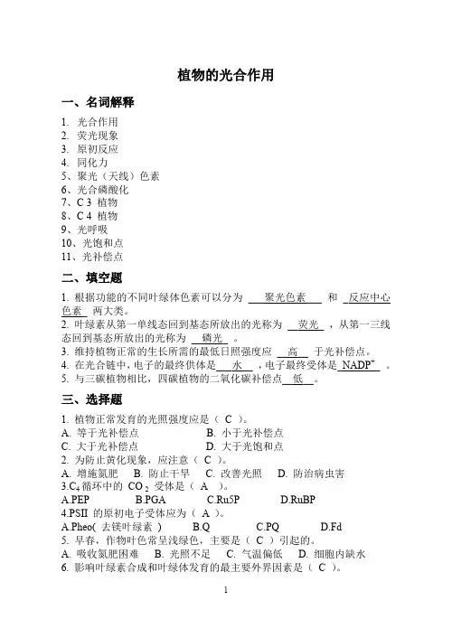复习题二(推荐文档)