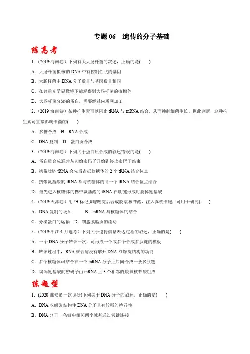 生物高考专题知识点复习及试题讲练测(含解析)：06 遗传的分子基础(练)