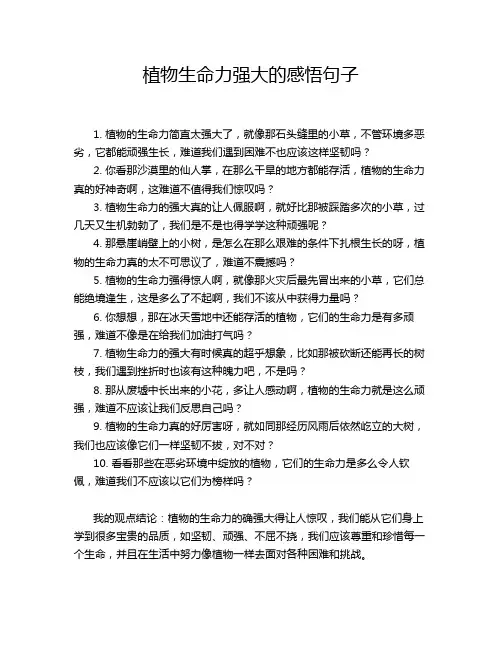 植物生命力强大的感悟句子
