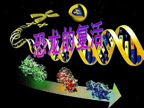 生物：4.1《基因指导蛋白质的合成》课件(新人教版必修2)