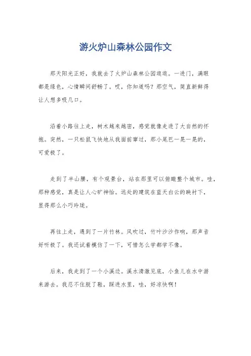 游火炉山森林公园作文