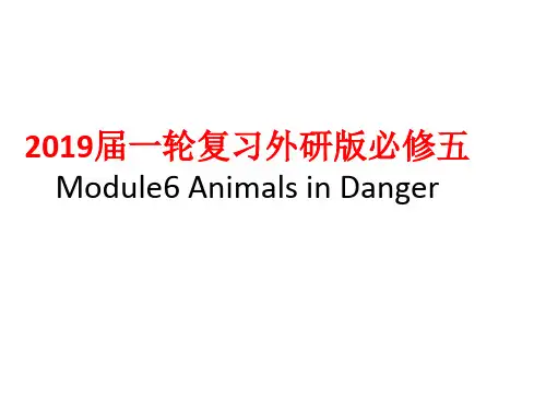 一轮复习外研版必修五 Module6 Animals in Danger课件(51张)