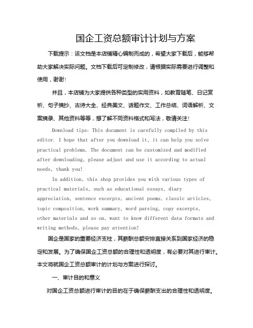 国企工资总额审计计划与方案
