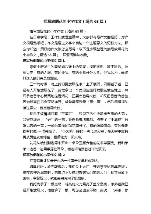 描写放烟花的小学作文（精选65篇）