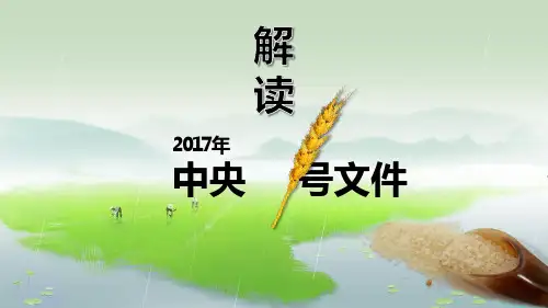 解读2017年中央一号文件,准确把握三农问题