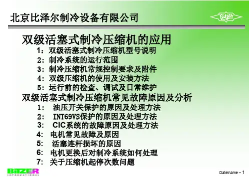比泽尔压缩机PPT课件