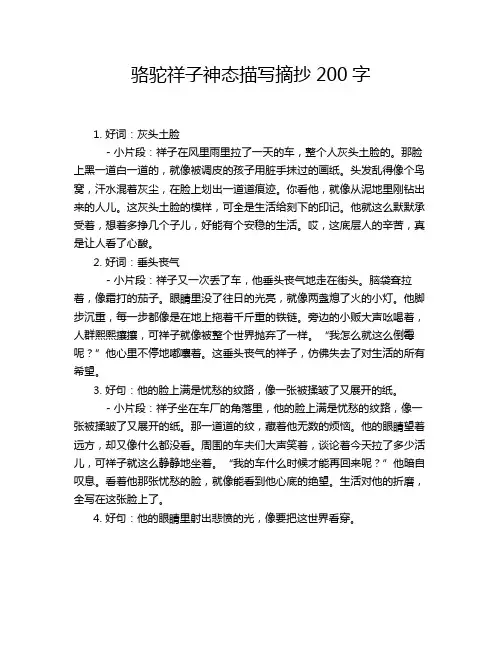 骆驼祥子神态描写摘抄200字