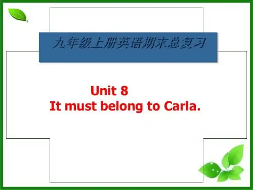 人教版英语九年级全册Unit8复习课课件(共22张PPT)