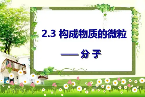 构成物质的微观粒子(一)分子